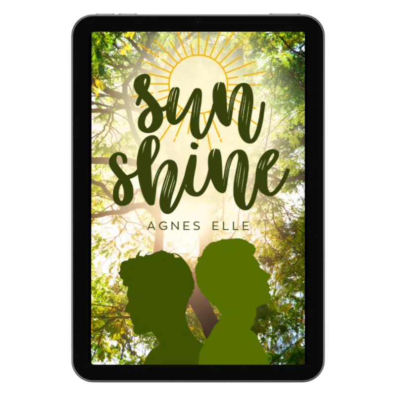 Sunshine - Agnes Elle cover design